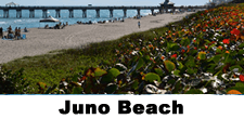 Juno Beach Homes